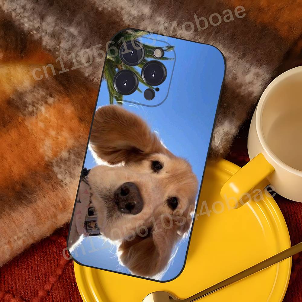 Coque de téléphone antichoc Vi - Phone Cases Viral avis et prix